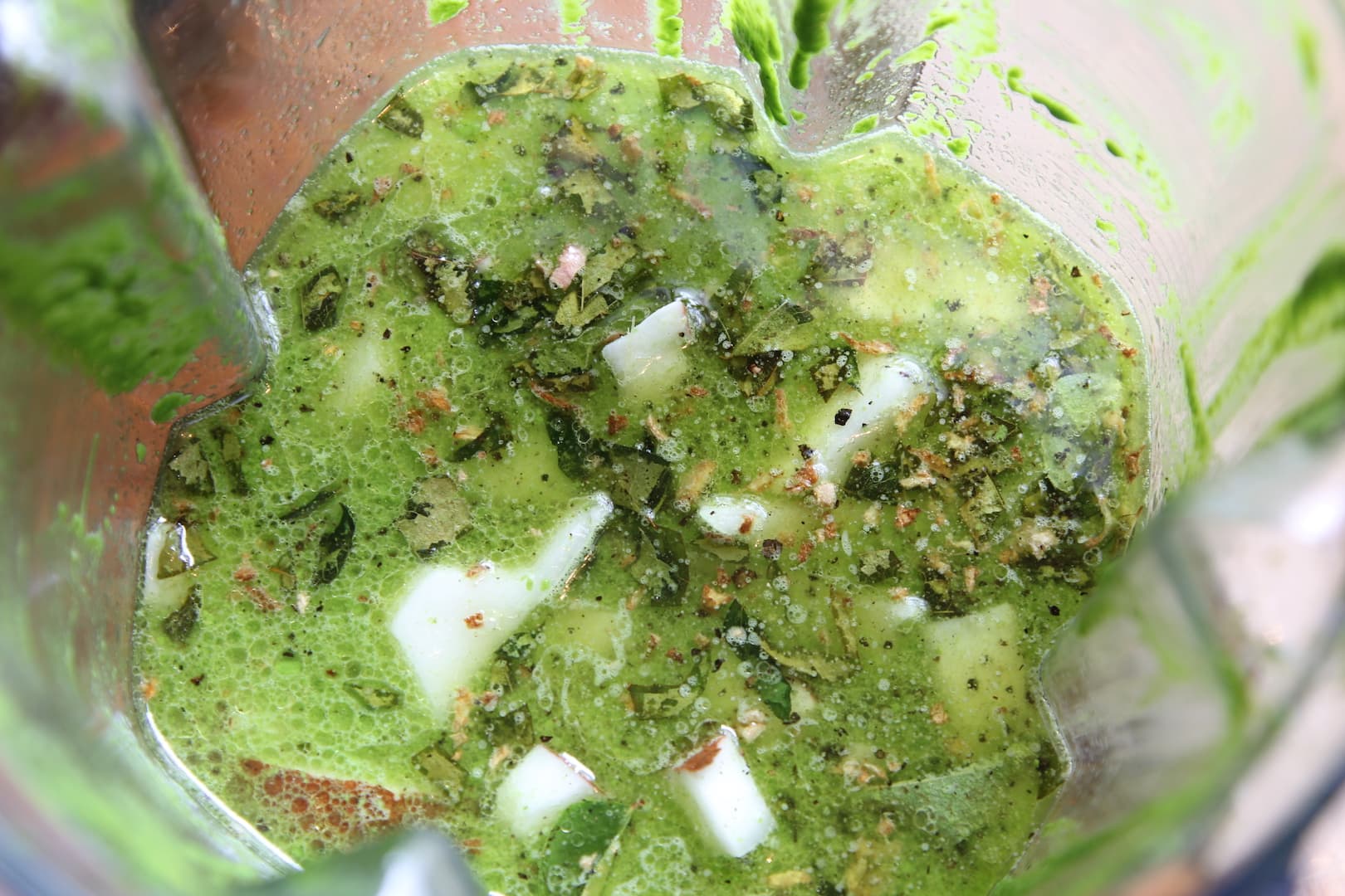 Coconut Chutney with Chana Gram Dal — 14