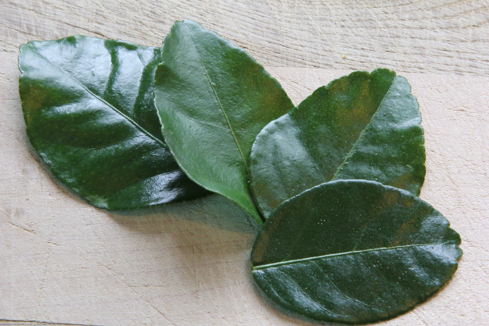 Basil Dressed Cucumber Noodles — 10