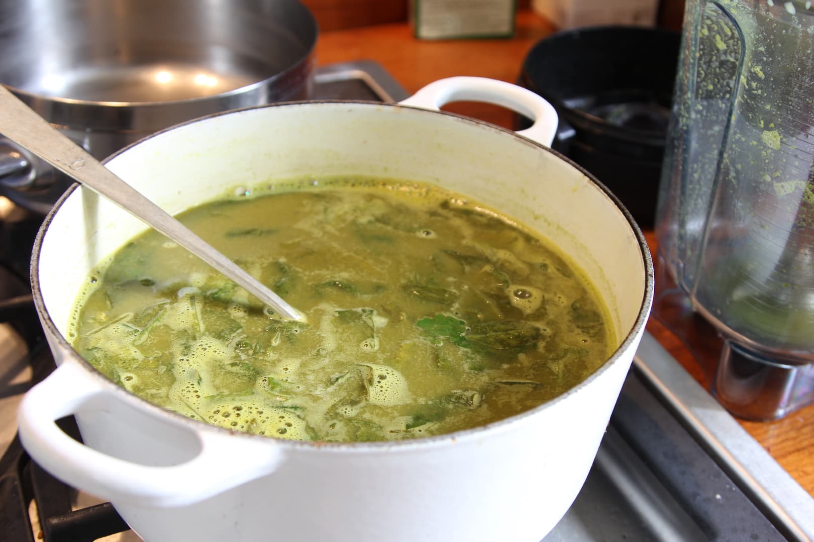 3-Step Easy Spinach Coconut Soup — 2
