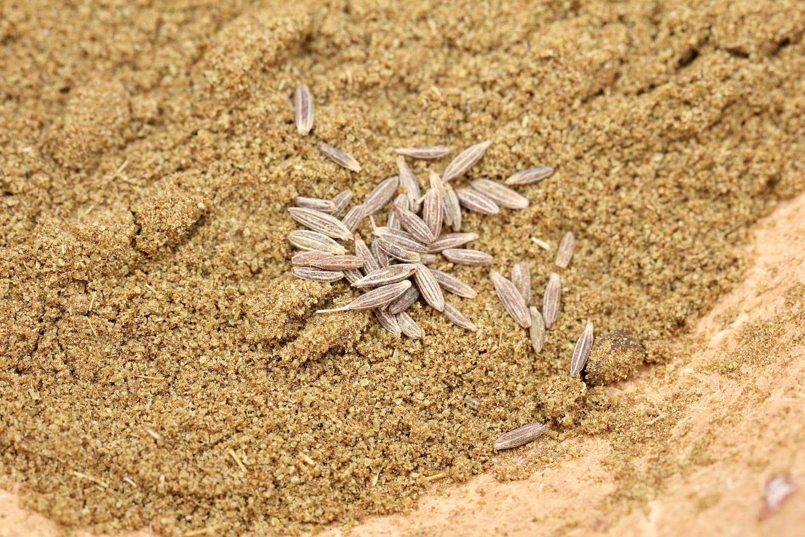 Amazing Health Benefits of Cumin — 6