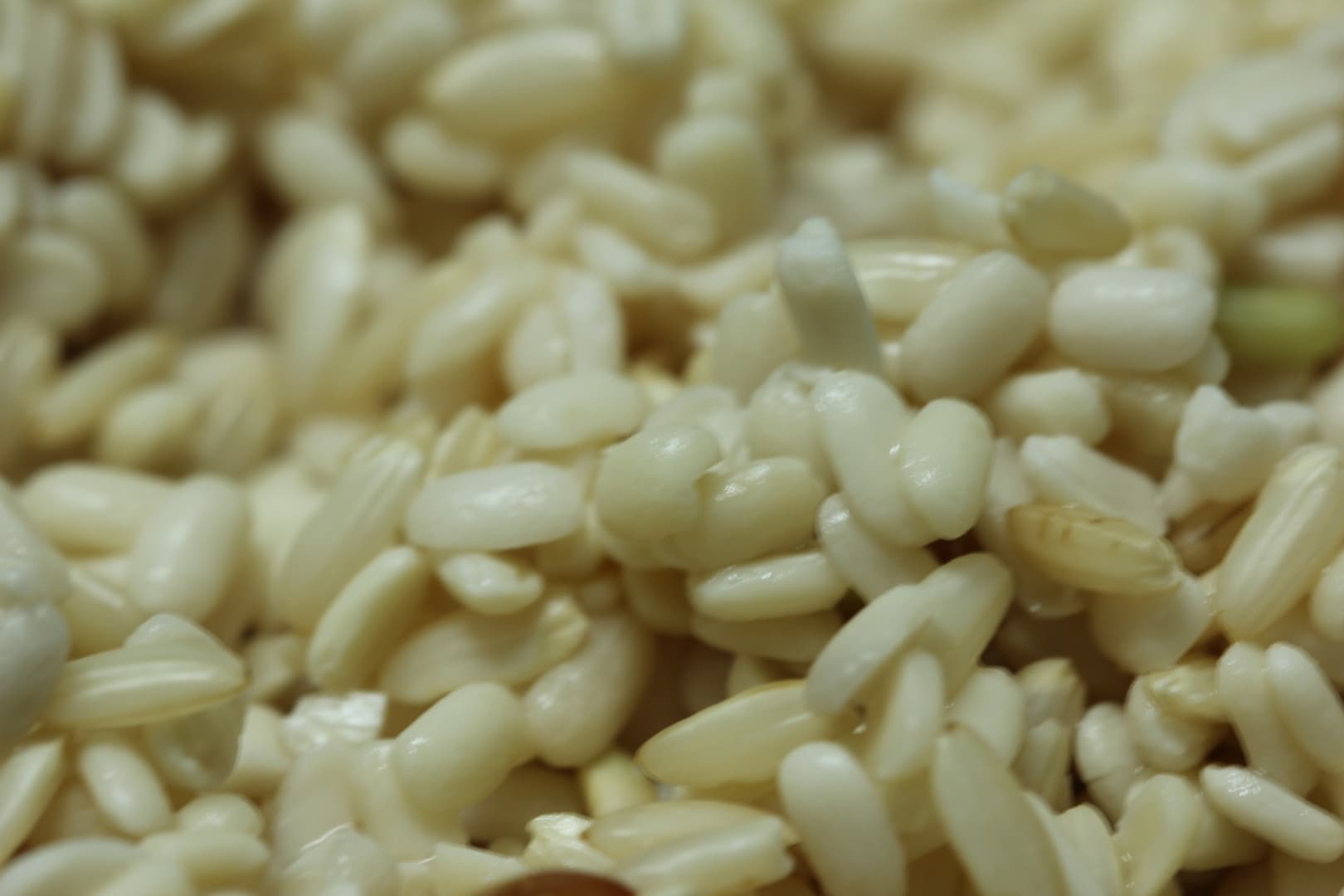 Bacalhau à Gomes de Sá — 11