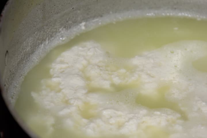 Homemade Paneer — 2