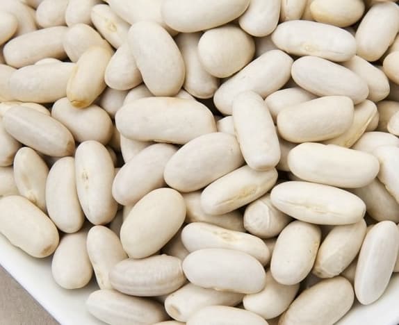 Dried cannellini bean s