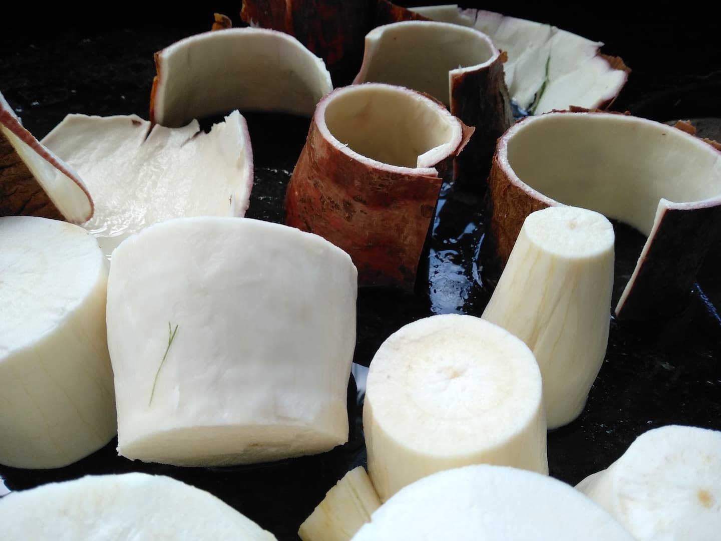 IMG 20210311 151435 1