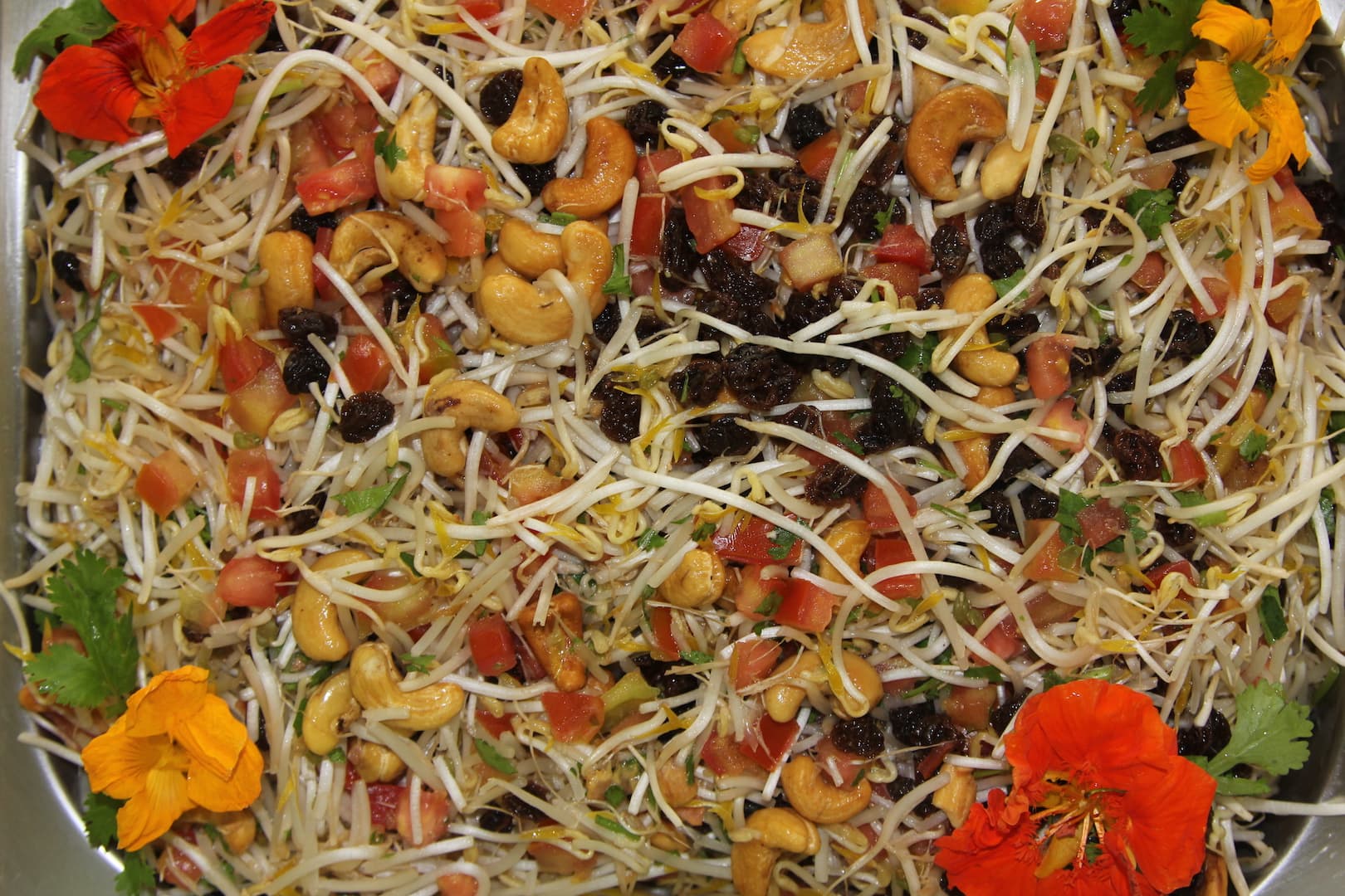 Sprouts Nasturium salad 2