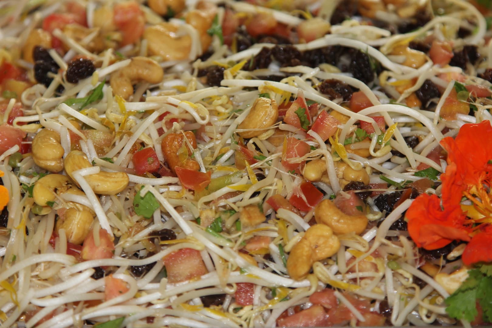 Sprouts Nasturium salad 3