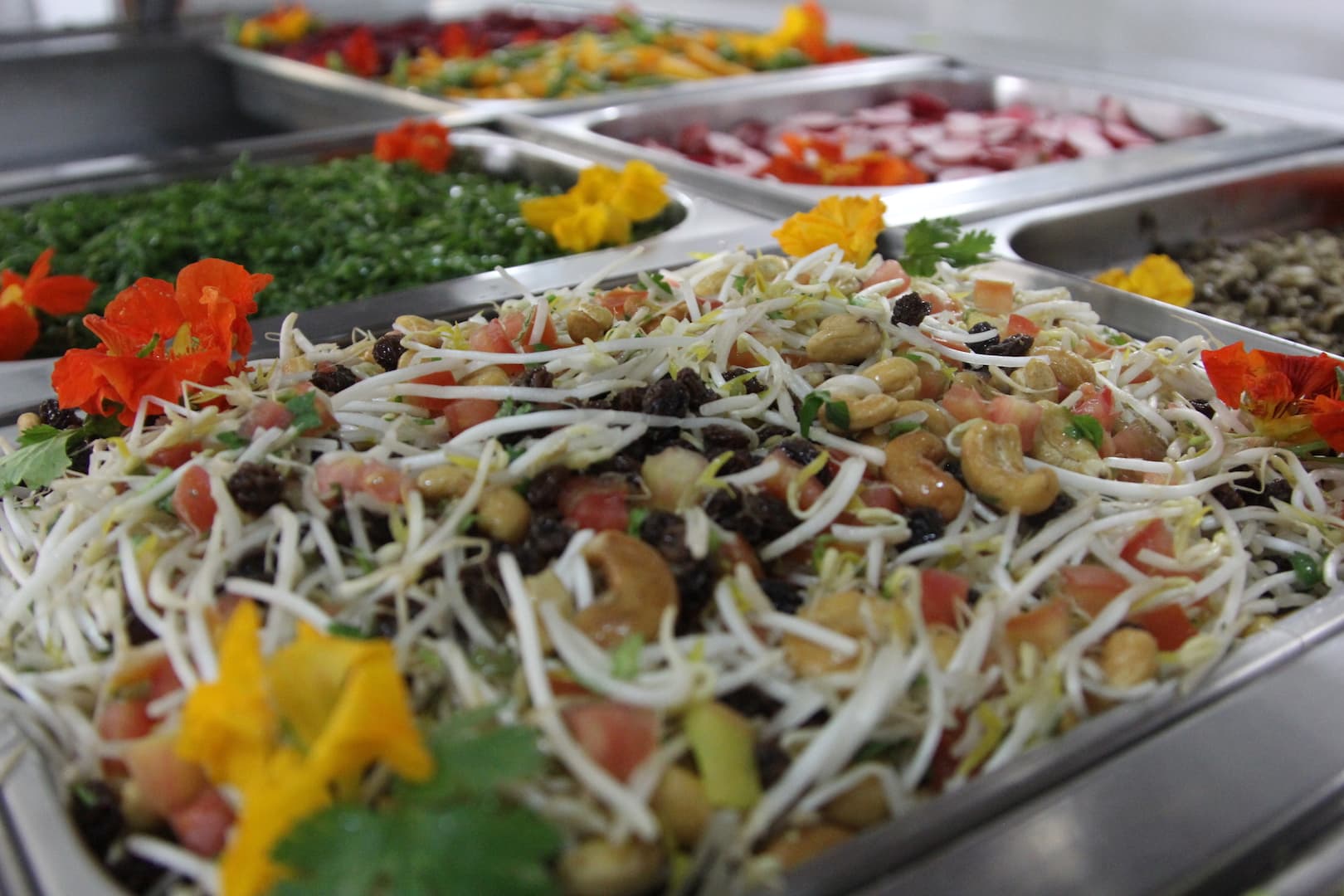 Sprouts Nasturium salad 4