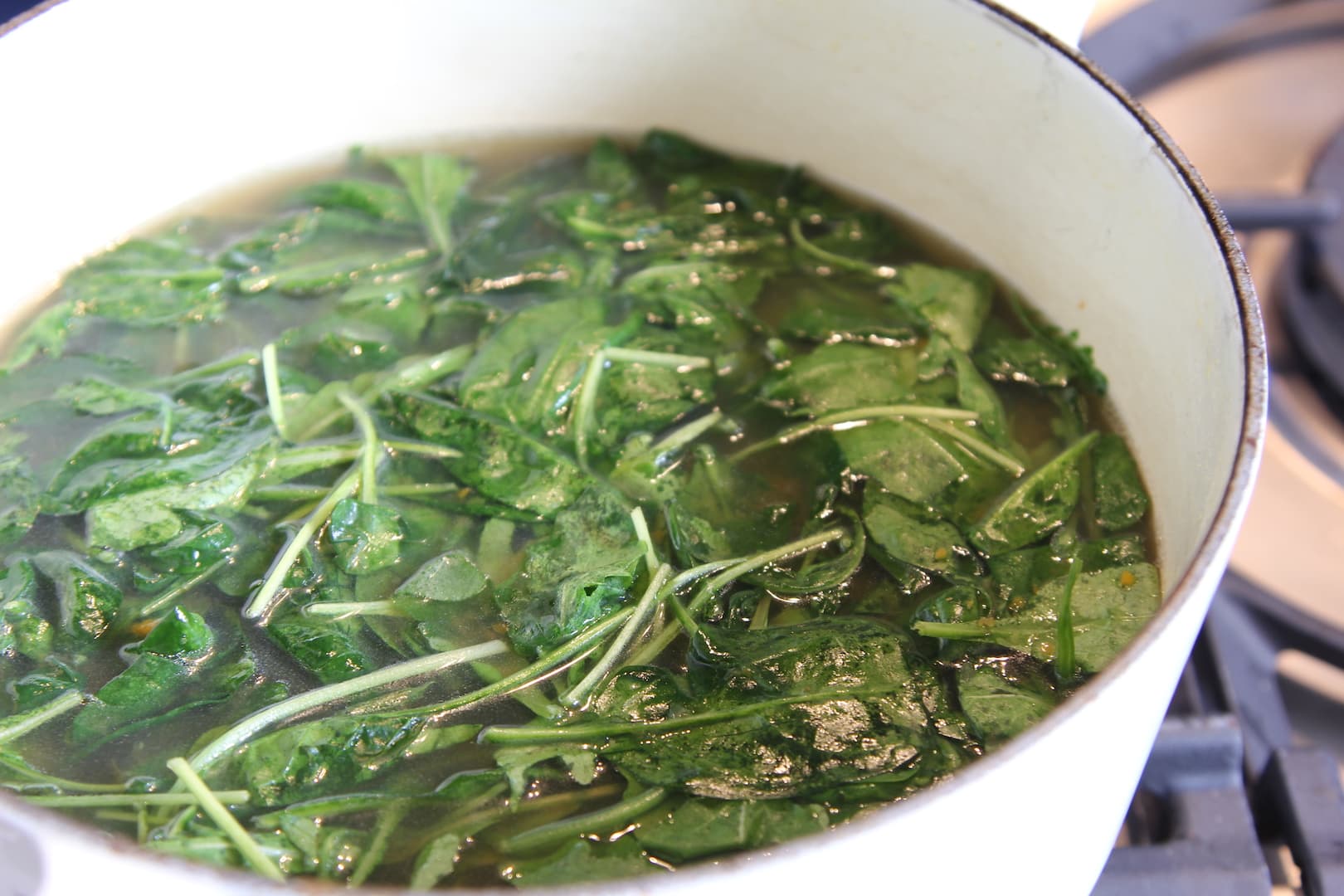 Tamrind Spinach soup 2