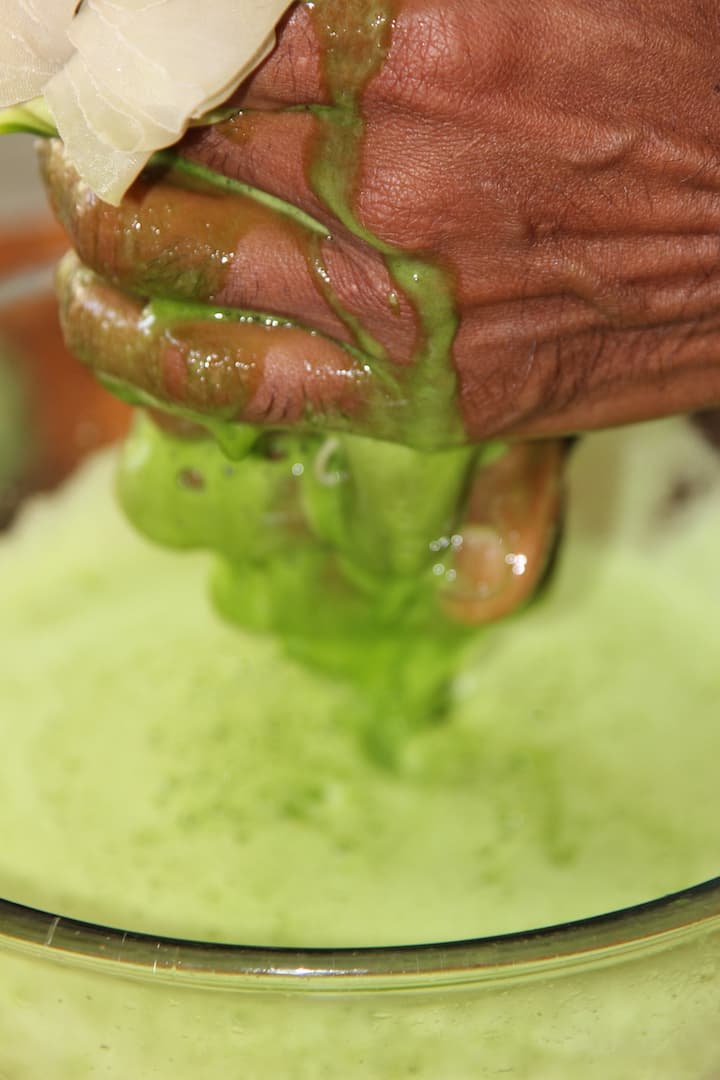 WG pulp squeeze IMG 2507