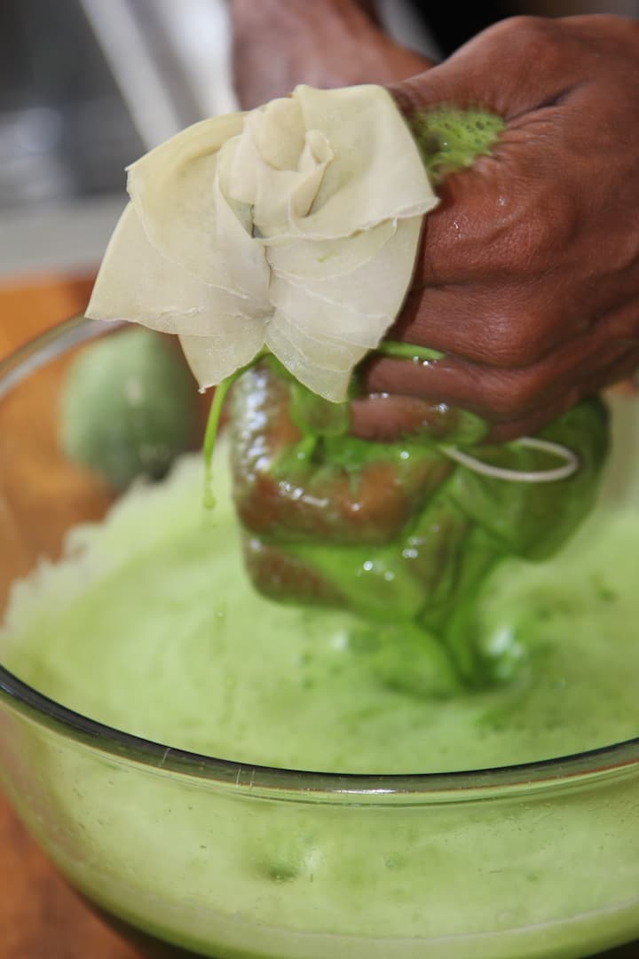 WG pulp squeeze IMG 2512 1