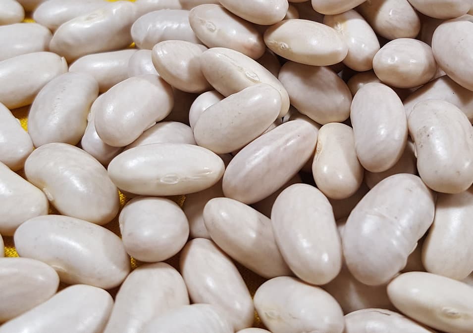 White beans 