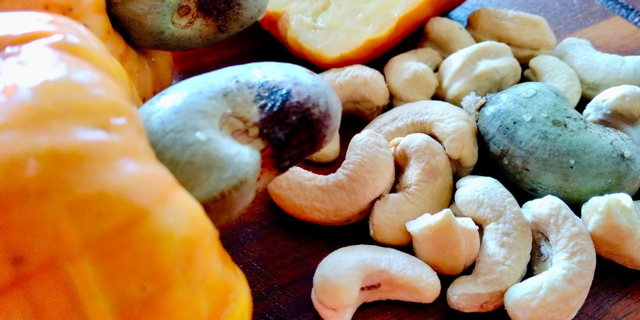 cashew fruit 2