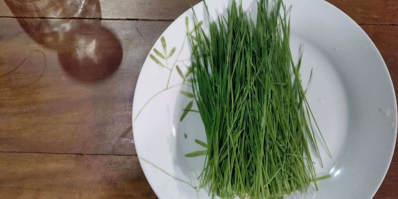 f493f0ad ed5f 40d2 9753 5d7fadc4be9f