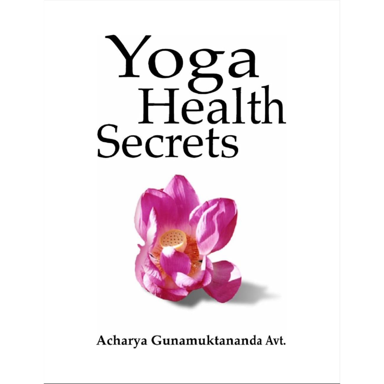 Dietary Consultation with Dada Shivananda (one hour)