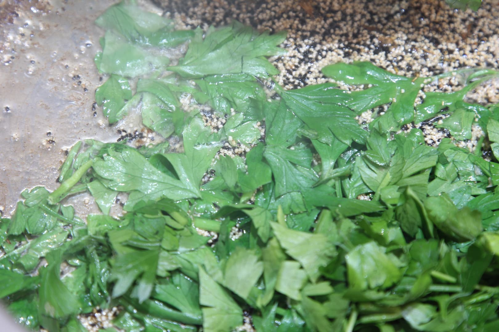 Tapioca Farofa Special — 7