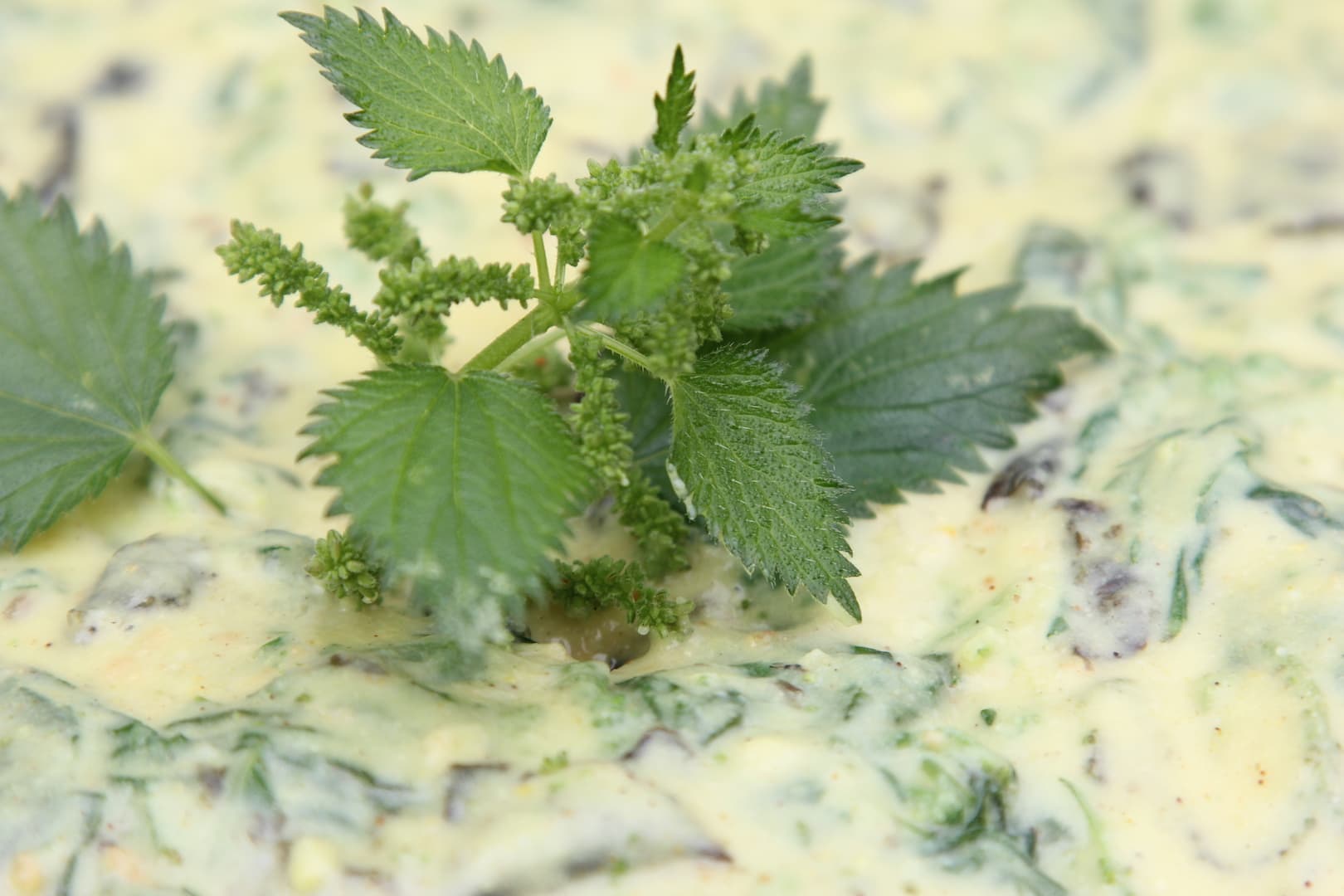 Bacalhau Com Nata — 27