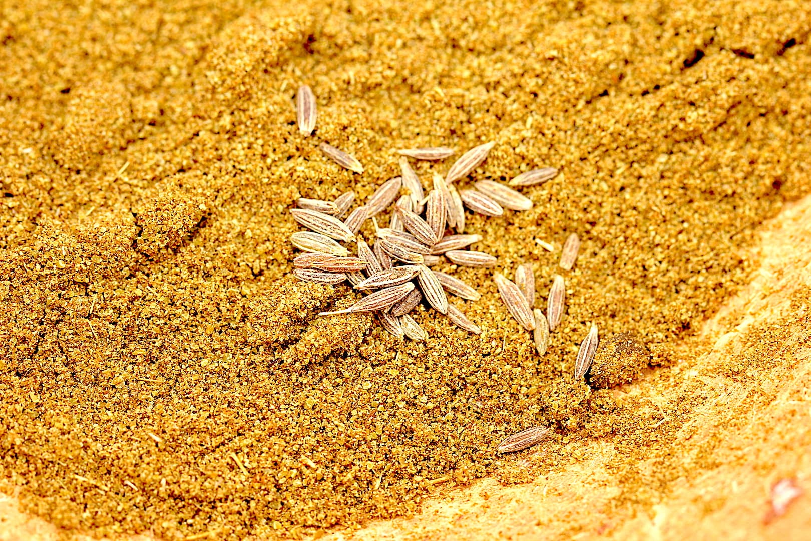 Cumin Flaxseed Gomasio — 5