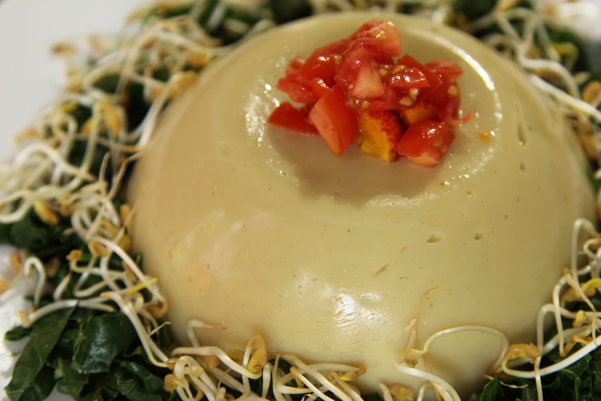 Chickpea Cheese — 6