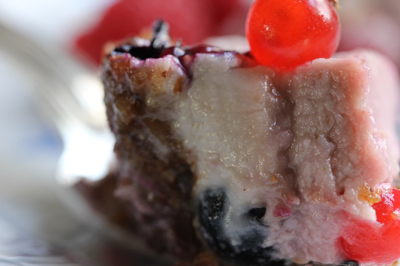 BlueRaspberry Cashew Cheese cake 18