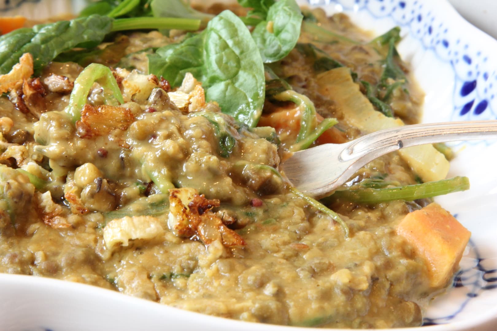 Mung dal kidchuri 19